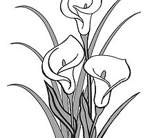 220x200 Coloring Lily Flower Drawing Outline Blooming Tiger Hand Drawn