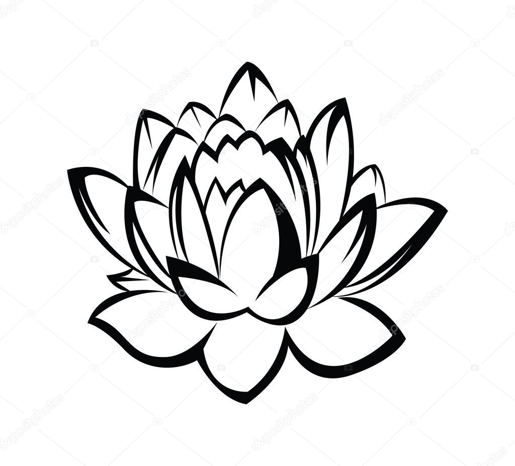 1024x927 Lily Flower Tattoo Drawing