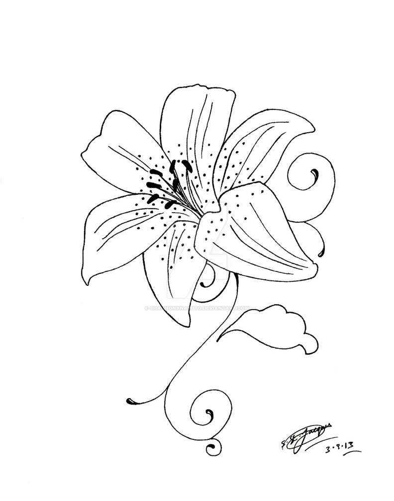 792x1008 My Tattoo Design Of A Lily Flower 3 By Shannonxnaruto