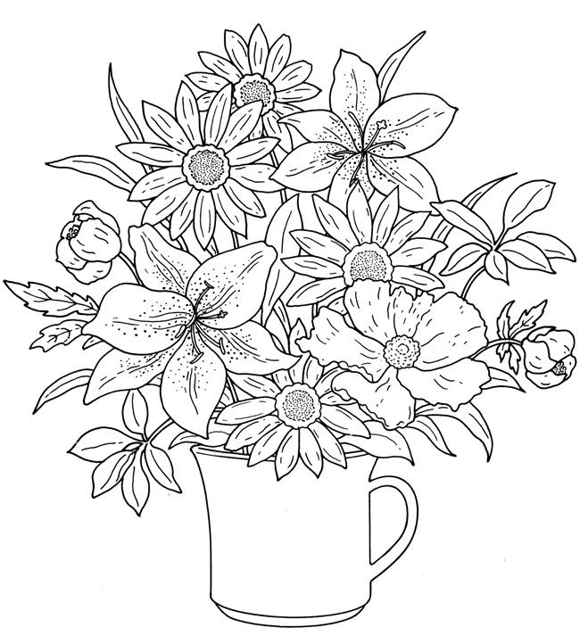650x722 Floral Coloring Pages Lily Flowers