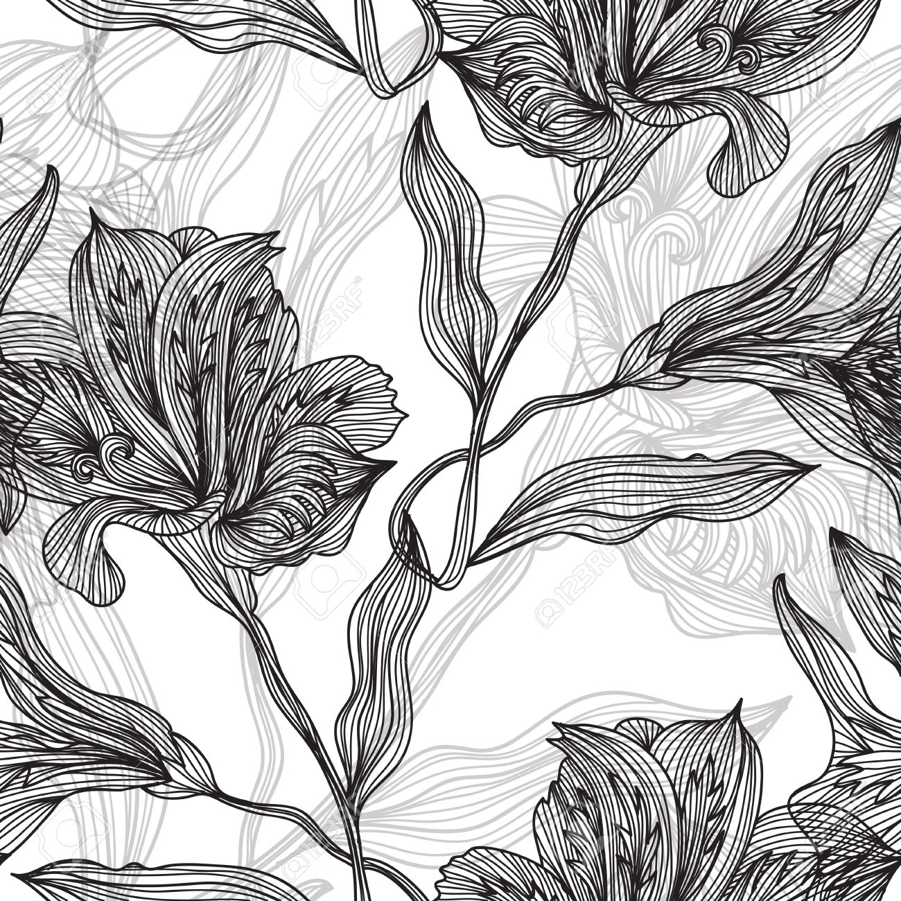 1300x1300 Botanical Illustrations Black And White
