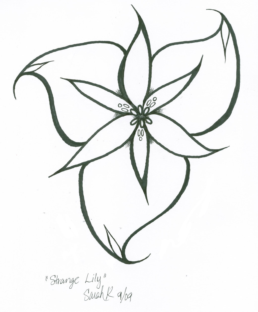 Lily Line Drawing at GetDrawings.com | Free for personal use Lily Line