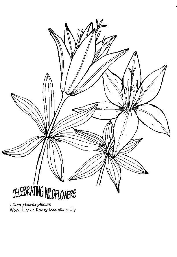 612x890 Umatilla National Forest Parents