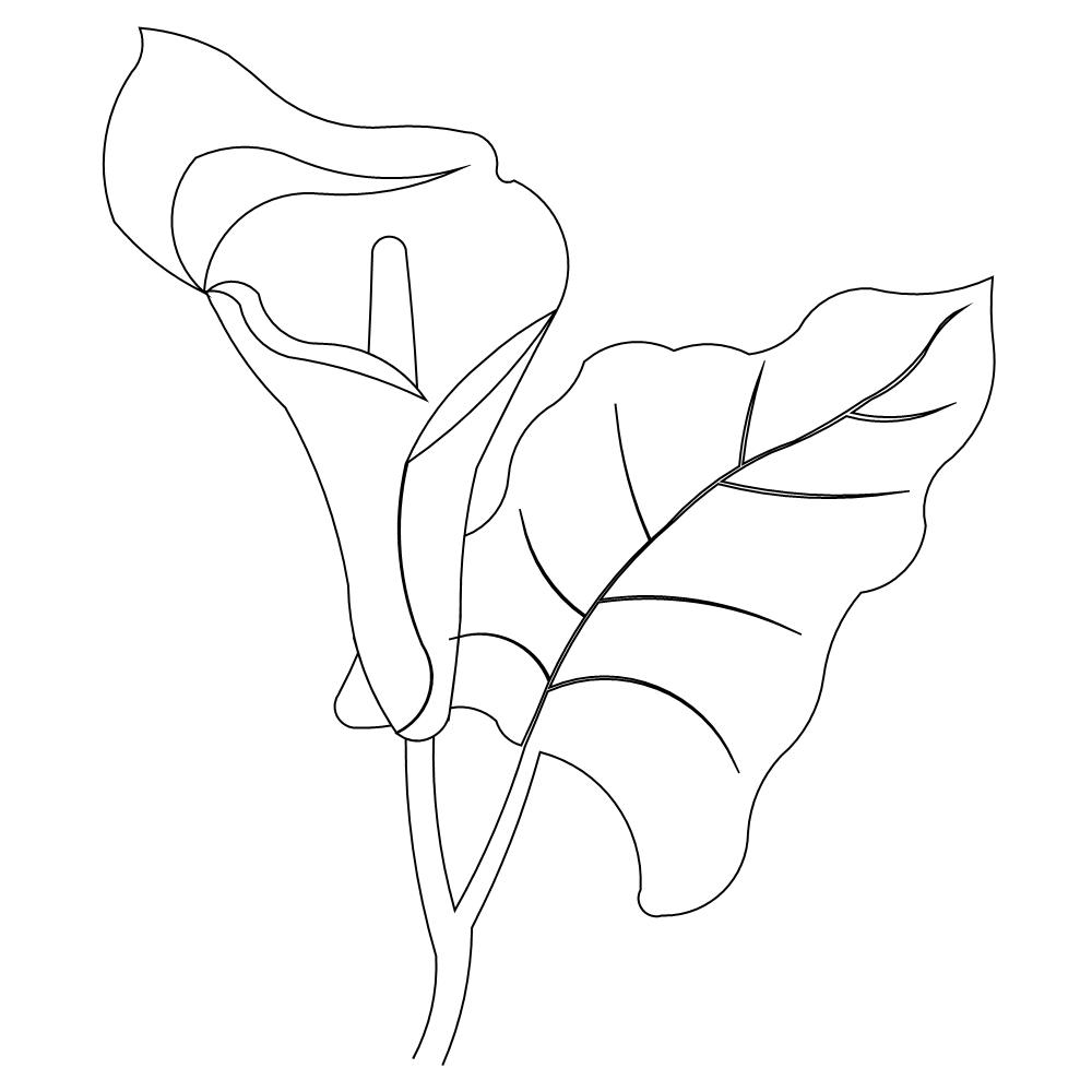 1000x1000 Calla Lily Red Bridal Bouquet