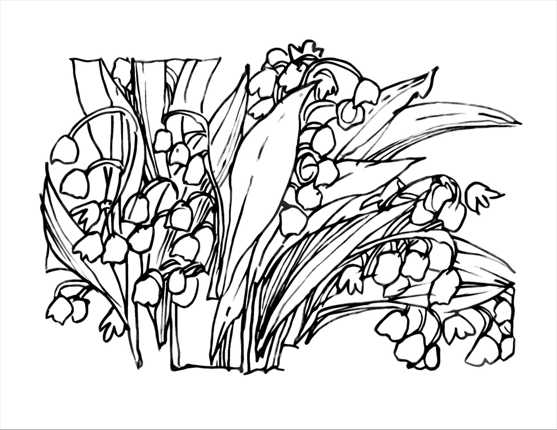 1925x1484 Lily Of The Valley Art Colored Glasses