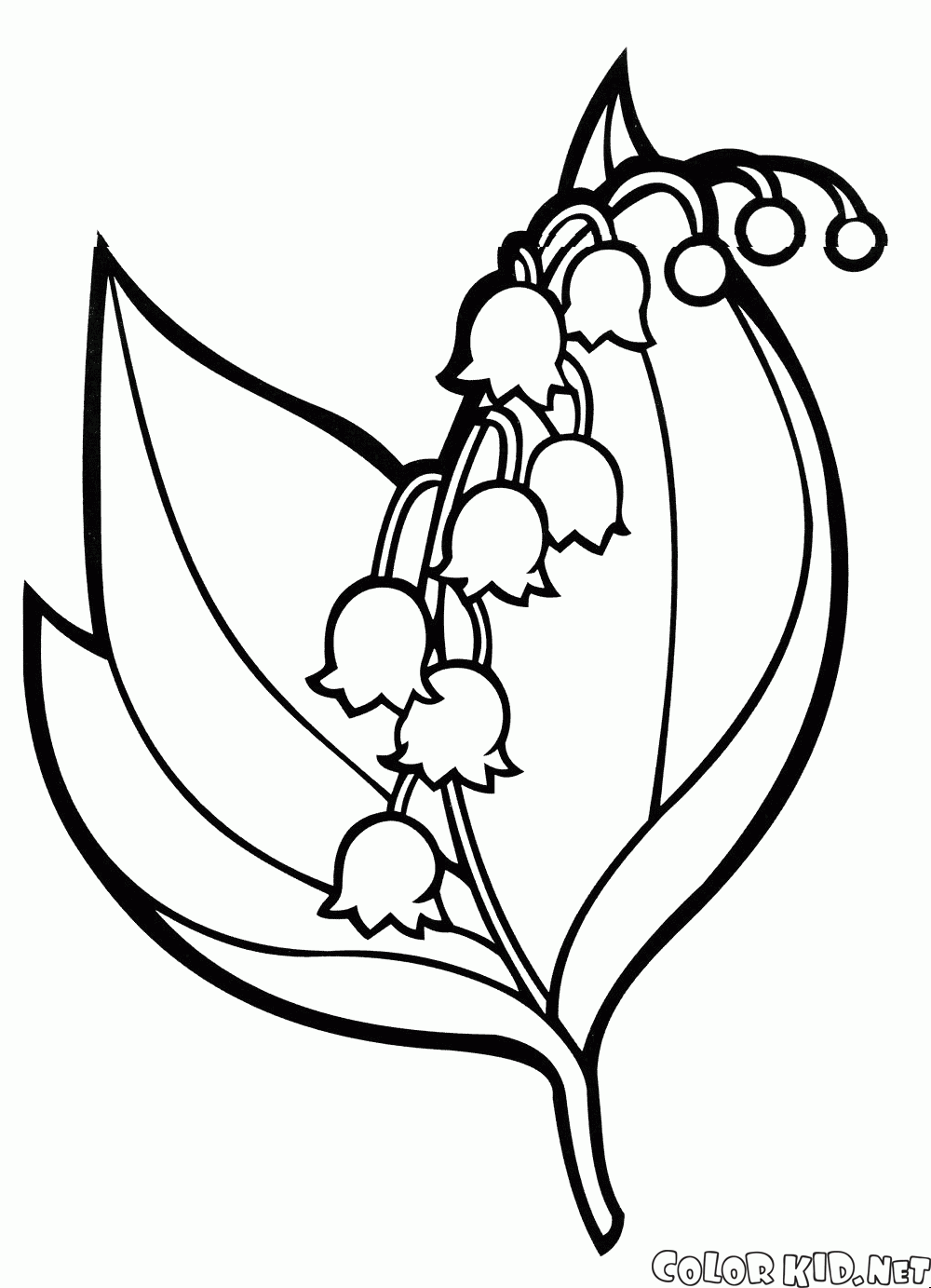 1000x1383 Coloring Page