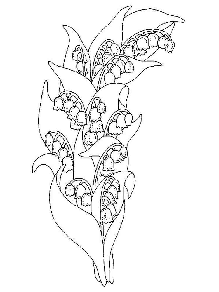 750x1000 Lily Valley Coloring Pages. Download And Print Lily