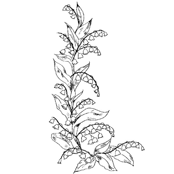 600x600 Purple Daisy Design J 834 Lily Of The Valley Corner