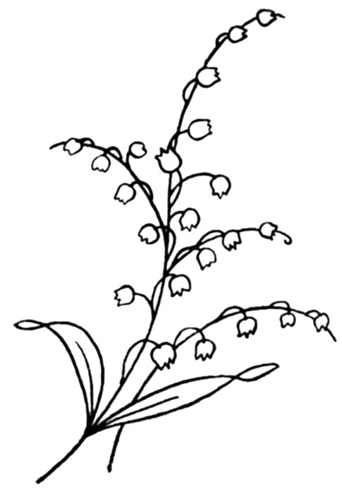 485x700 Free Pattern Friday Lily Of The Valley Embroidery Motifs Q Is