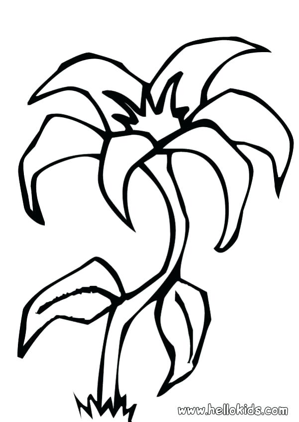 601x850 Lily Of The Valley Coloring Page Lily Coloring Pages Together