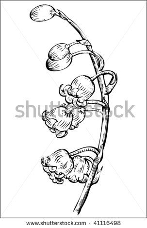 303x470 38 Best Ceramics Images On Lily Of The Valley, Flowers