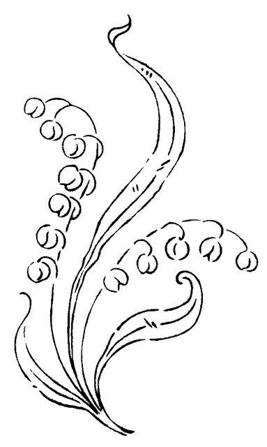 383x640 Simple Lily Of The Valley Drawing