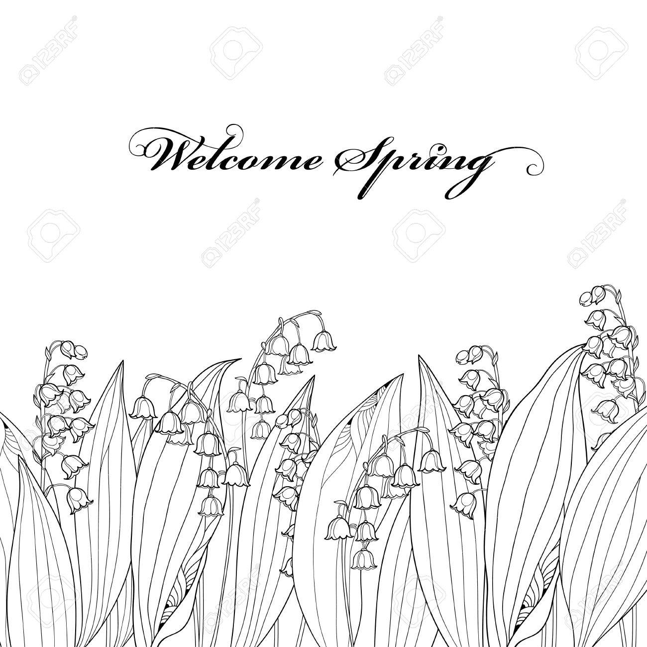 1300x1300 Border With Outline Lily Of The Valley Or Convallaria Flower