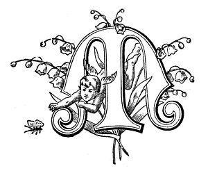 300x249 Lily Of The Valley Paintings