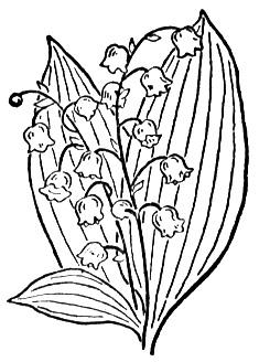 235x328 Click To See Printable Version Of Lily Of The Valley 2 Coloring