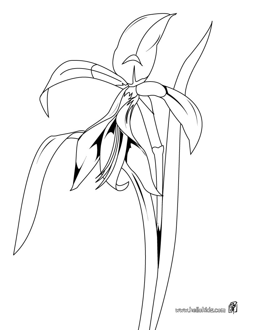 820x1060 Lily Of The Valley Bunch Coloring Pages