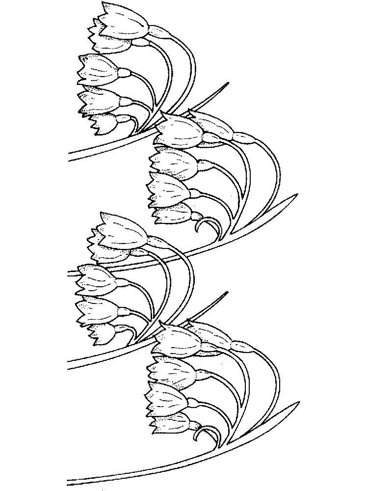 750x1000 Lilly Of The Valley Flower