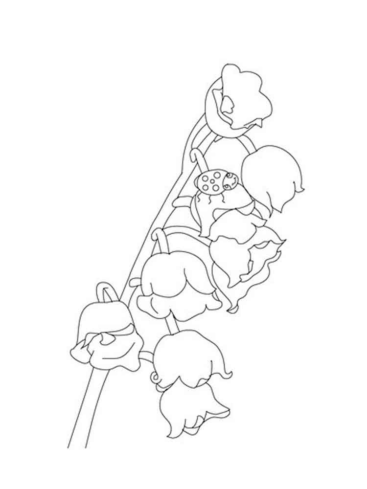 750x1000 Lily Of The Valley Flower