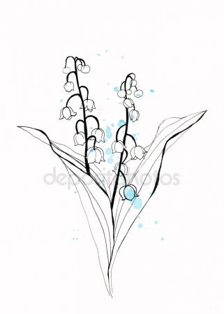 321x450 Lily Valley Sketch Stock Photos, Royalty Free Lily