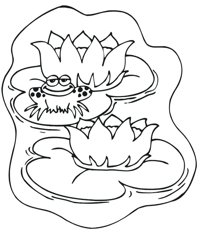 660x776 Coloring Page Frog Coloring Pages Frogs Printable Synthesis.site