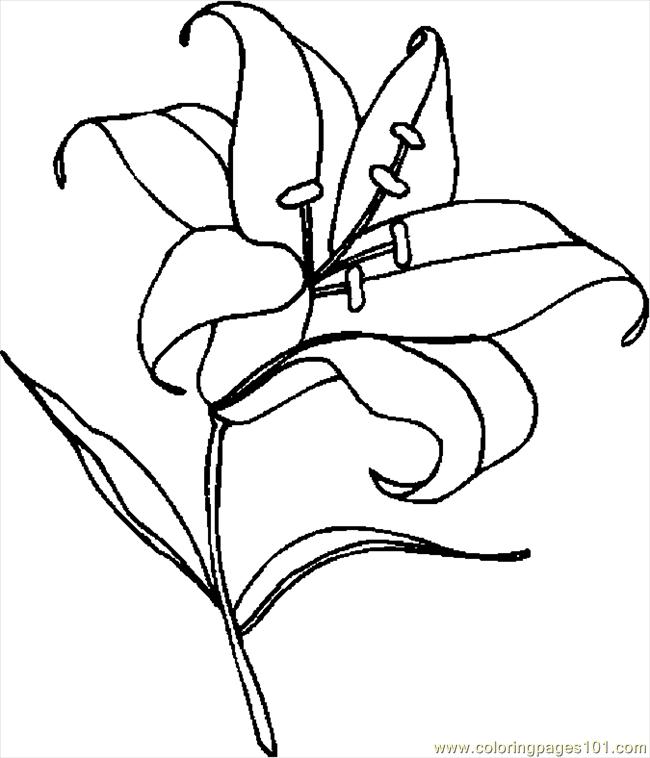 650x758 Calla Lily Coloring Pages Easter Page