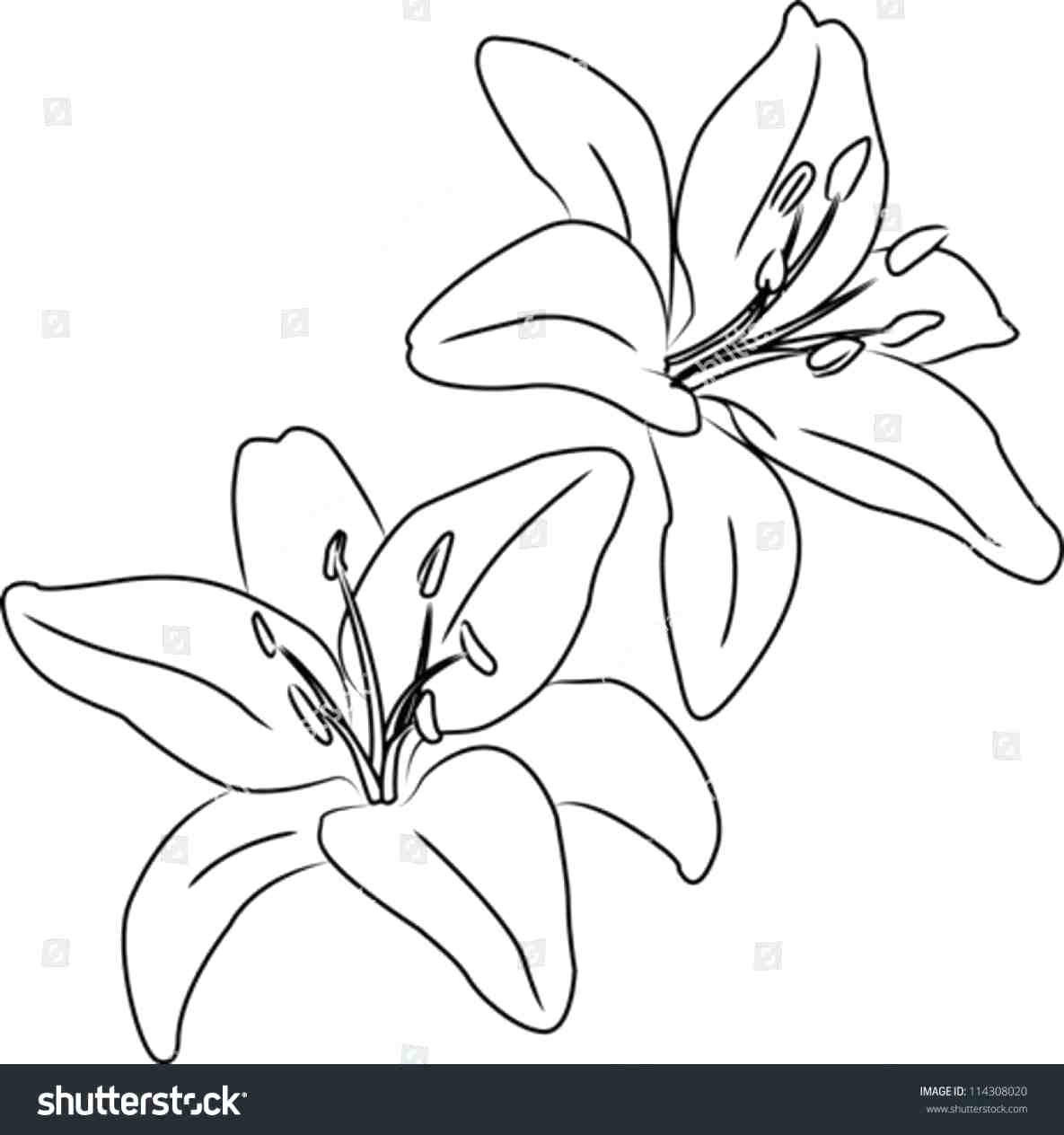 1185x1264 Coloring Lily Pad Coloring Page