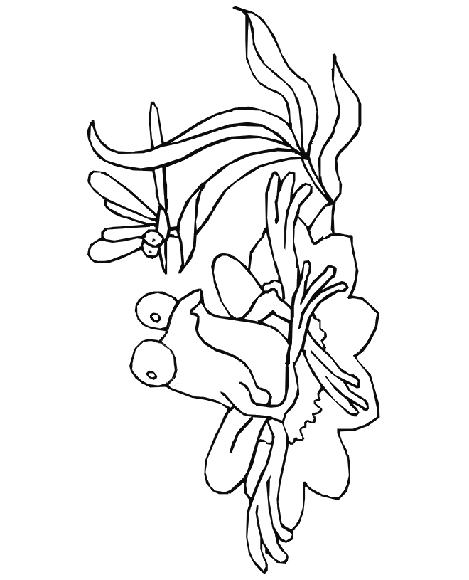 660x815 Lily Pad Coloring Page 415108