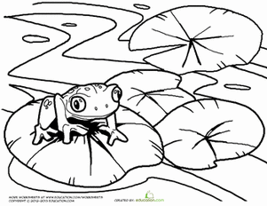 301x232 Lily Pad Coloring Page Free Download