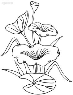236x305 Printable Lily Pad Coloring Pages For Kids Cool2bkids Projects