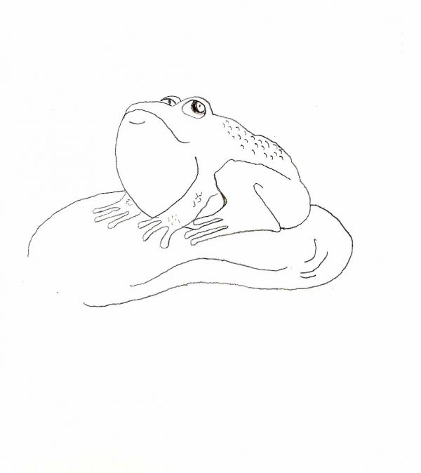 600x674 Simple Animal Drawings For Beginners