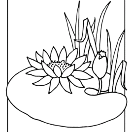 268x268 Coloring Pad All About Coloring Pages