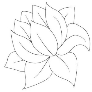 300x300 Drawing Frog On Lily Pad Coloring Page Color Luna