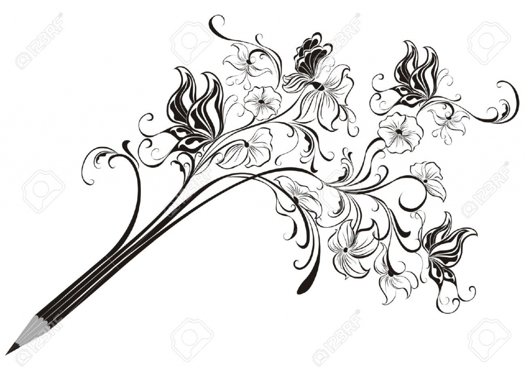 1024x733 Floral Pencil Drawings Pencil Drawing Lily Flower Stock
