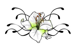 300x210 Drawings Of Flowers And Vines Drawings Of Flowers And Vines Pencil