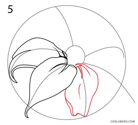 450x405 How To Draw A Lily (Step By Step Pictures) Cool2bkids