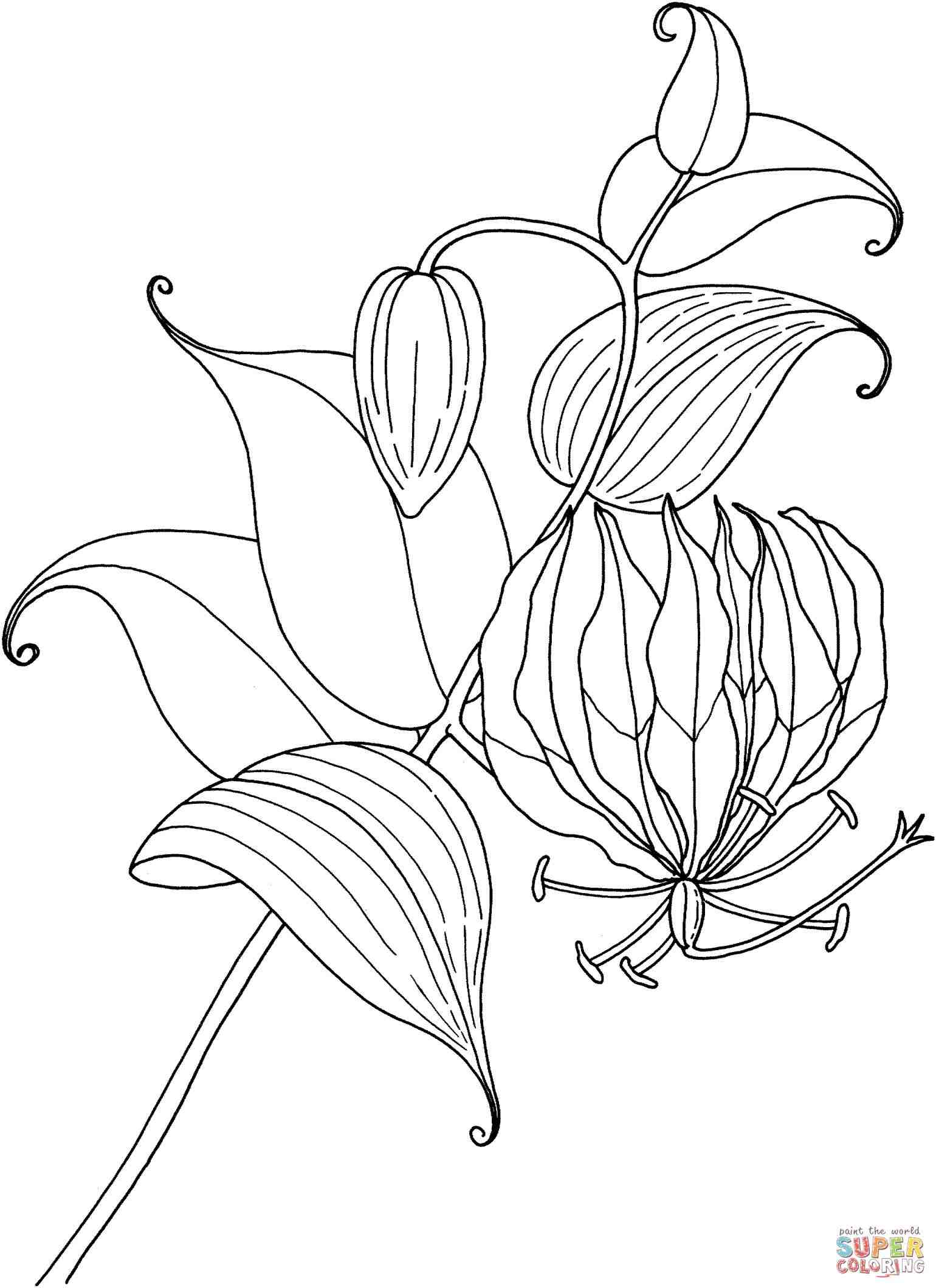 1540x2120 Tiger Lily Tattoo