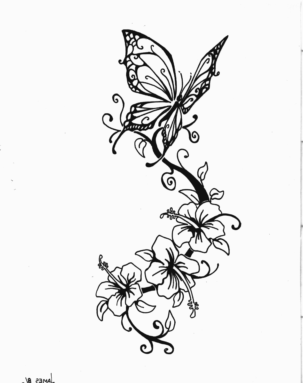 Lily Tattoo Drawing at GetDrawings | Free download