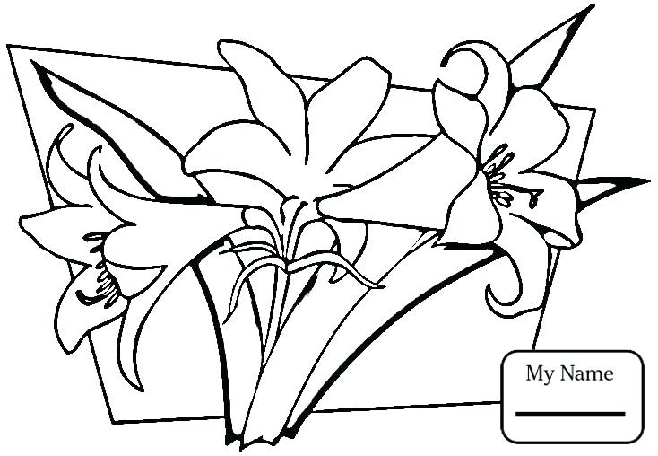 734x508 Lily Coloring Pages Plus Lily Coloring Pages Free 812