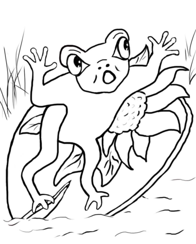 800x997 Printable Lily Pad Coloring Pages Coloring Me