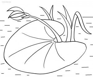 300x249 Printable Lily Pad Coloring Pages For Kids Cool2bkids Projects