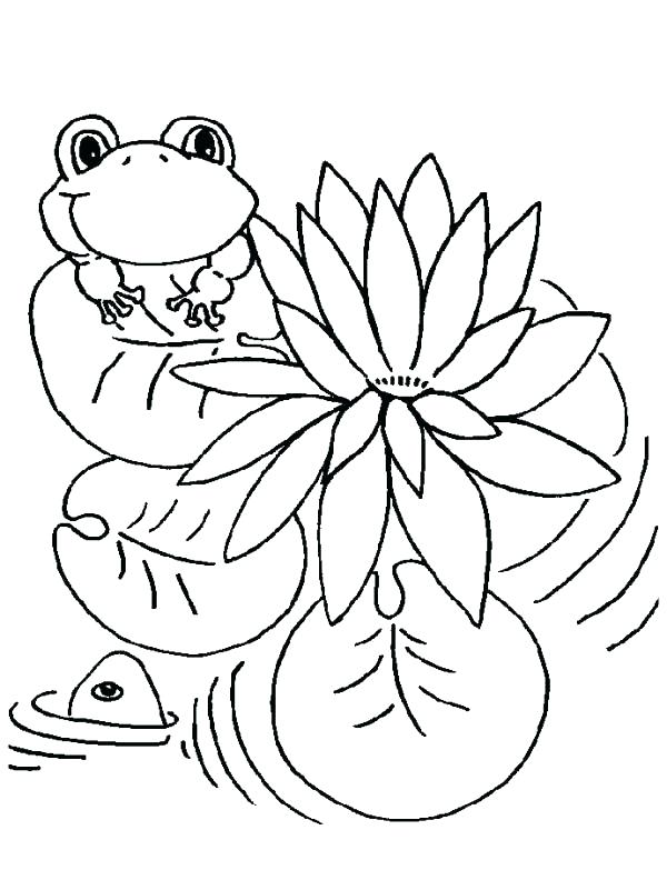 600x783 Coloring Pages Frog