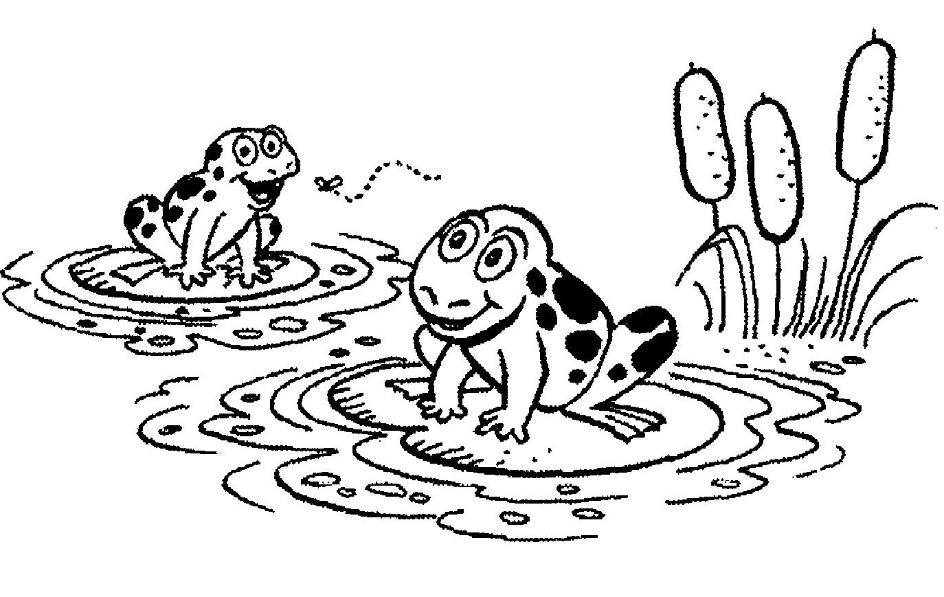1374x869 Free Printable Lily Pad Coloring Pages For Kids