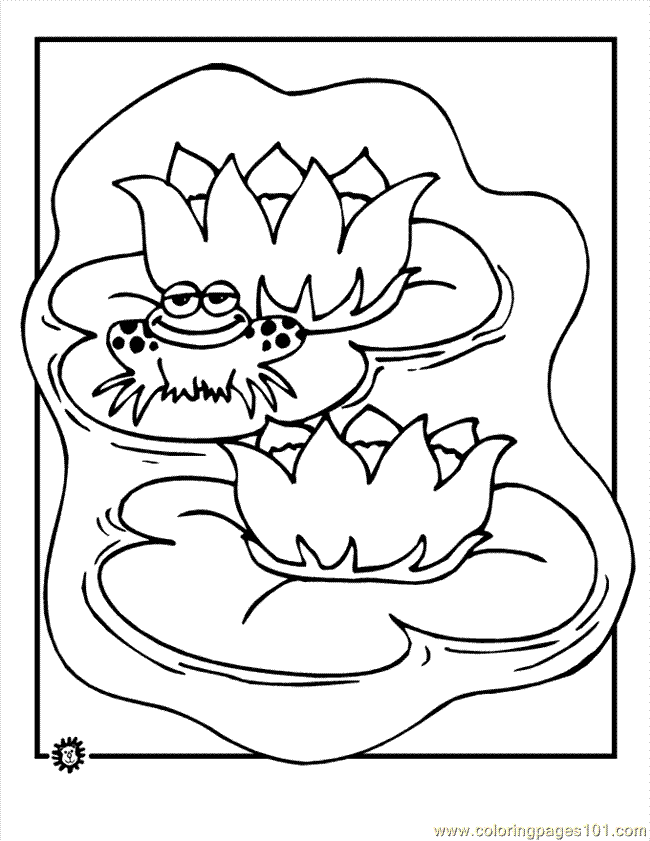 650x841 Frog Lily Pad Coloring Coloring Page