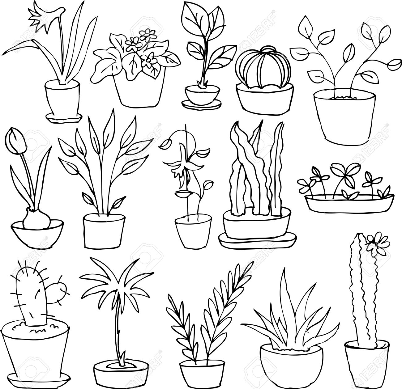 1300x1259 Line Drawing Home Plants, Hand Drawn Vector Illustration Royalty