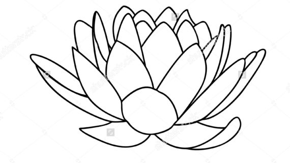 570x320 Lotus Flower Line Drawing Lotus Flowers Icon Black Line Drawn
