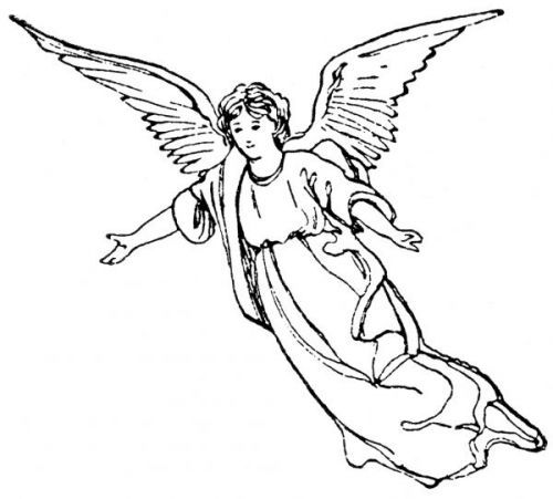 500x451 Photos Angel Line Drawings,