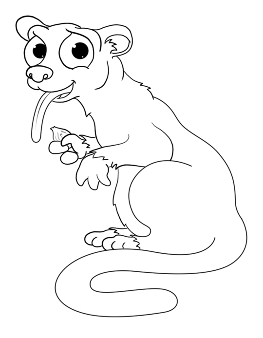 540x694 How To Draw A Honey Bear