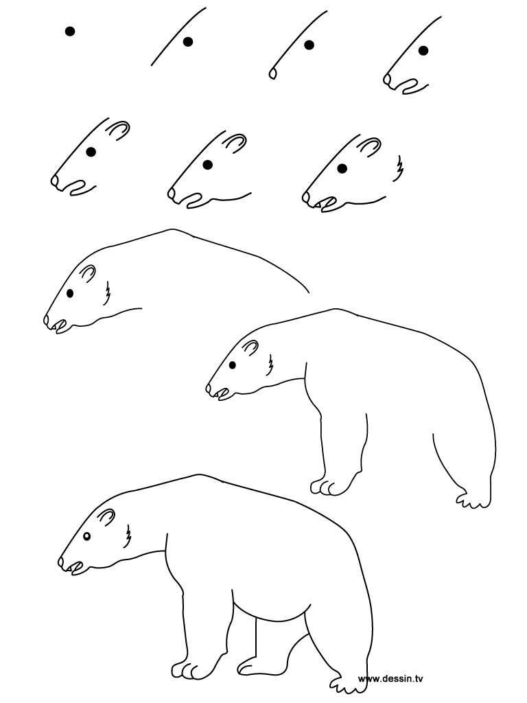 768x1024 Drawing Polar Bear