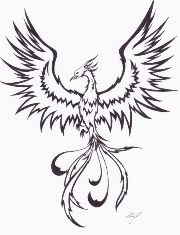 585x765 Mind Blowing Phoenix Bird Art Drawings Free Amp Premium Templates
