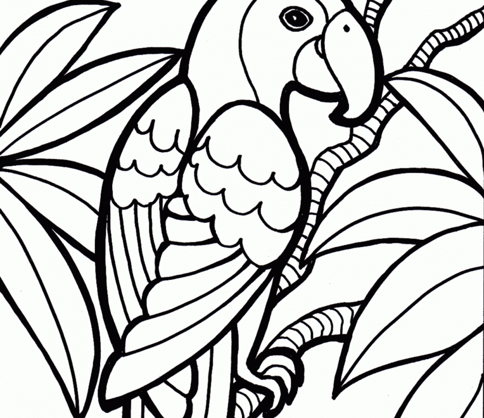 970x838 Coloring Toonvectors Hamster Coloring Book Free Fabulous Cartoon